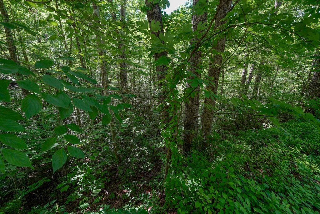 Lot 33 Ownby Circle Circle