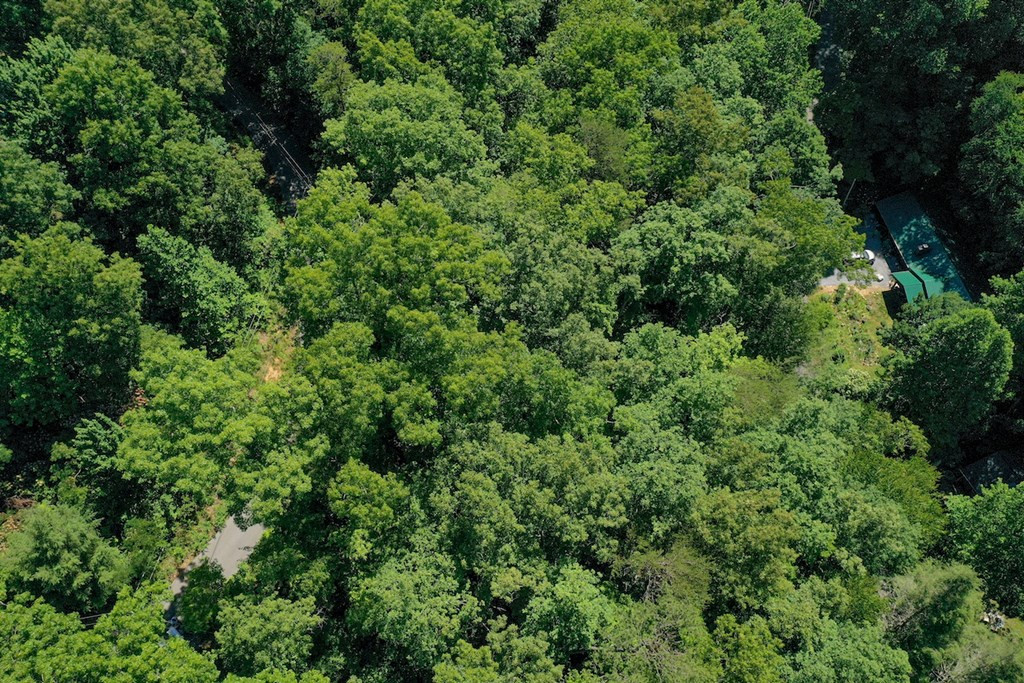 Lot 33 Ownby Circle Circle