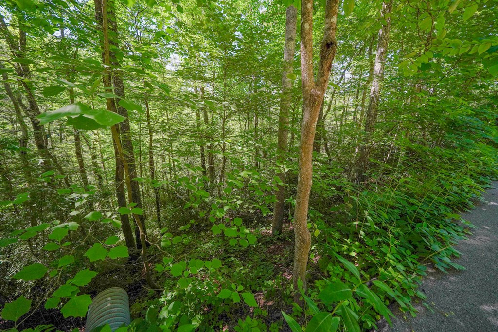 Lot 33 Ownby Circle Circle
