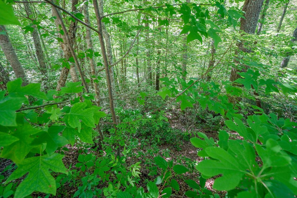 Lot 33 Ownby Circle Circle