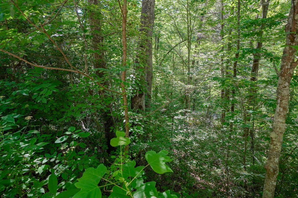 Lot 33 Ownby Circle Circle