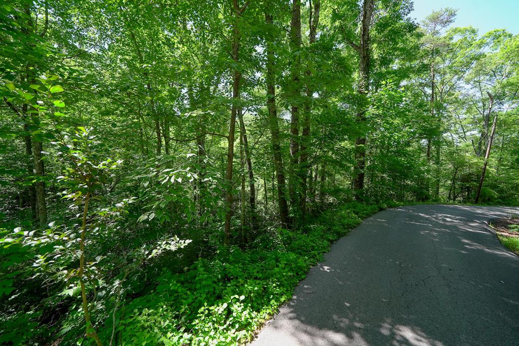 Lot 33 Ownby Circle Circle