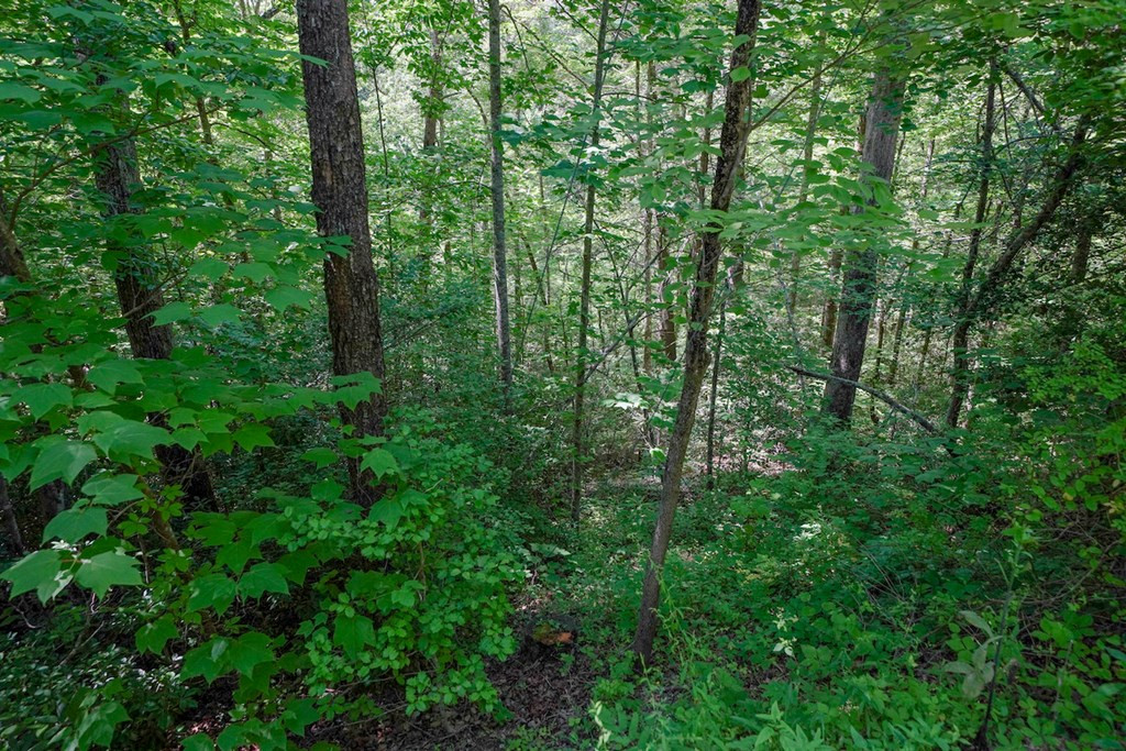 Lot 33 Ownby Circle Circle