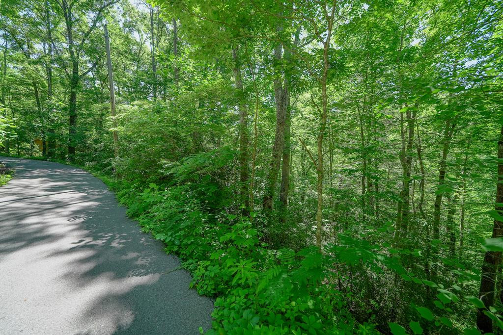 Lot 34 Ownby Circle Circle