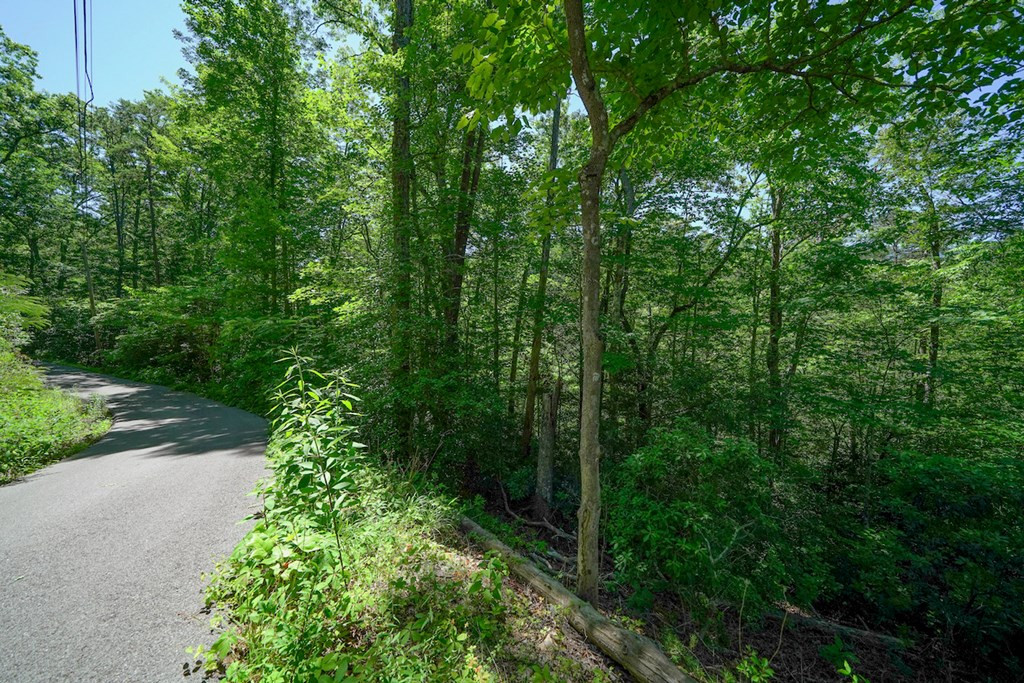 Lot 34 Ownby Circle Circle