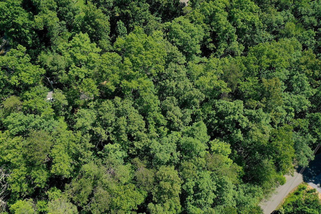 Lot 34 Ownby Circle Circle