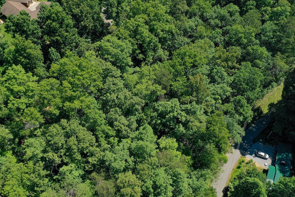 Lot 34 Ownby Circle Circle