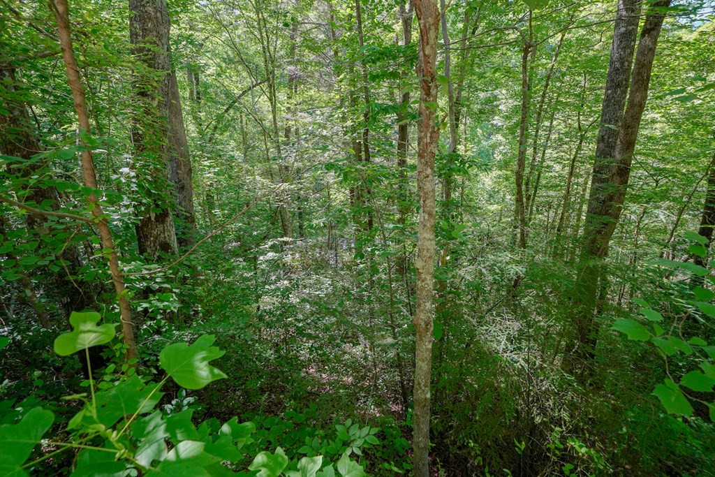Lot 34 Ownby Circle Circle