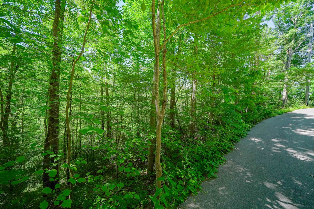 Lot 34 Ownby Circle Circle