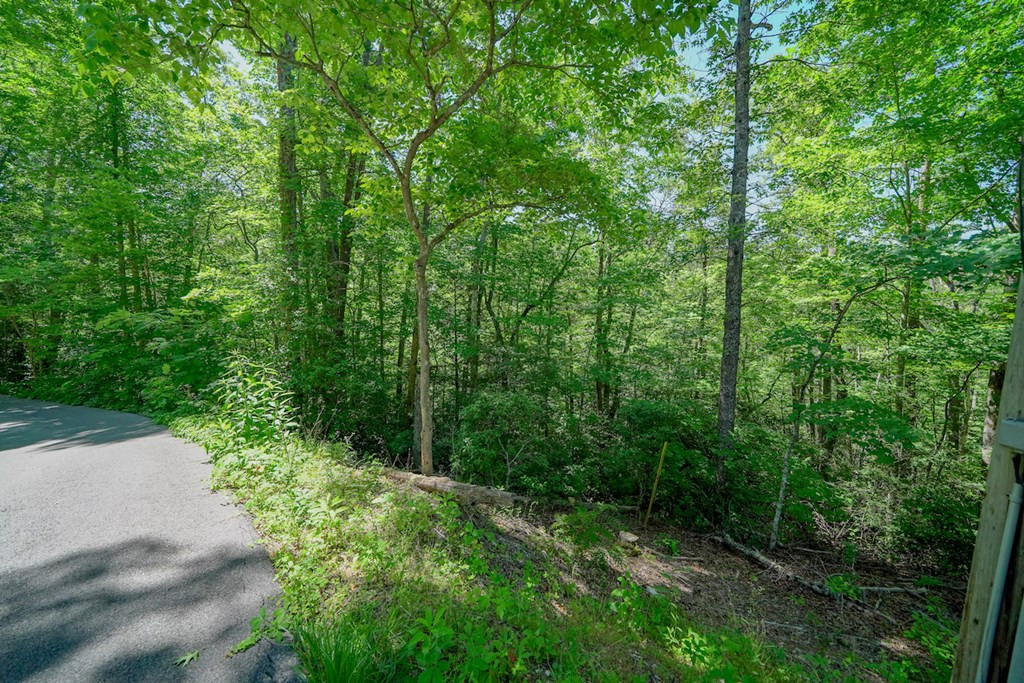 Lot 34 Ownby Circle Circle