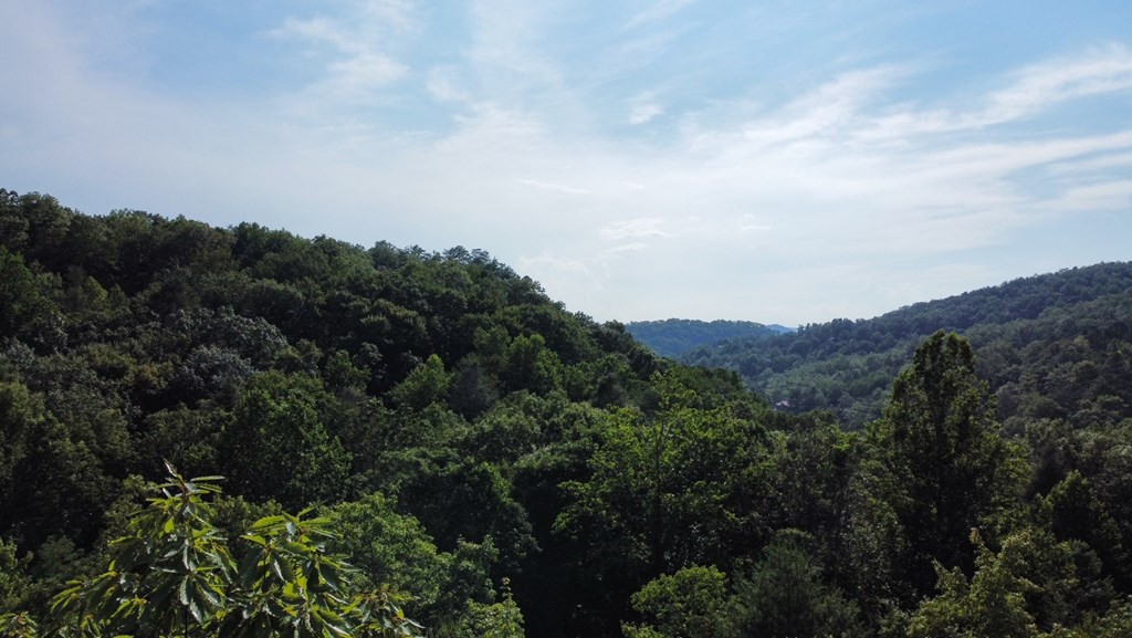 Lot 8 Little Round Top Lane Lane