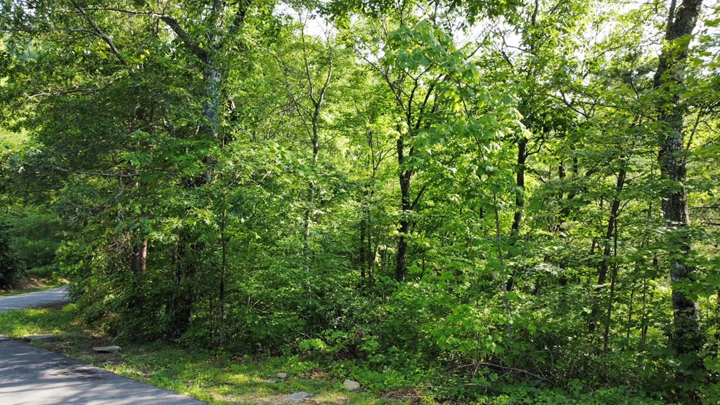 Lot 8 Little Round Top Lane Lane