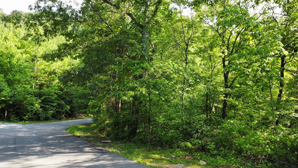 Lot 8 Little Round Top Lane Lane