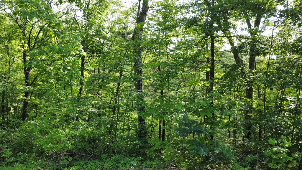 Lot 8 Little Round Top Lane Lane