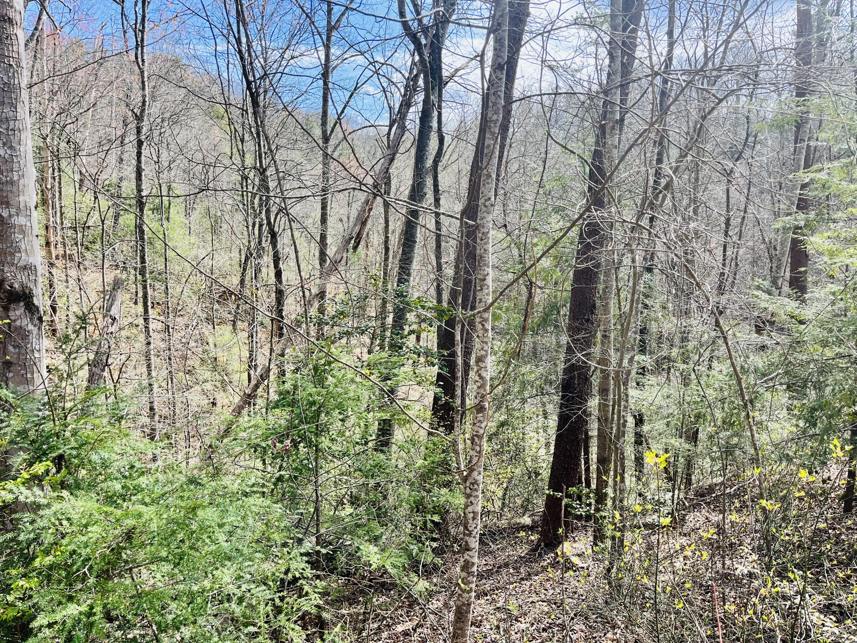 Lot 3 Sassafras Trail Trail