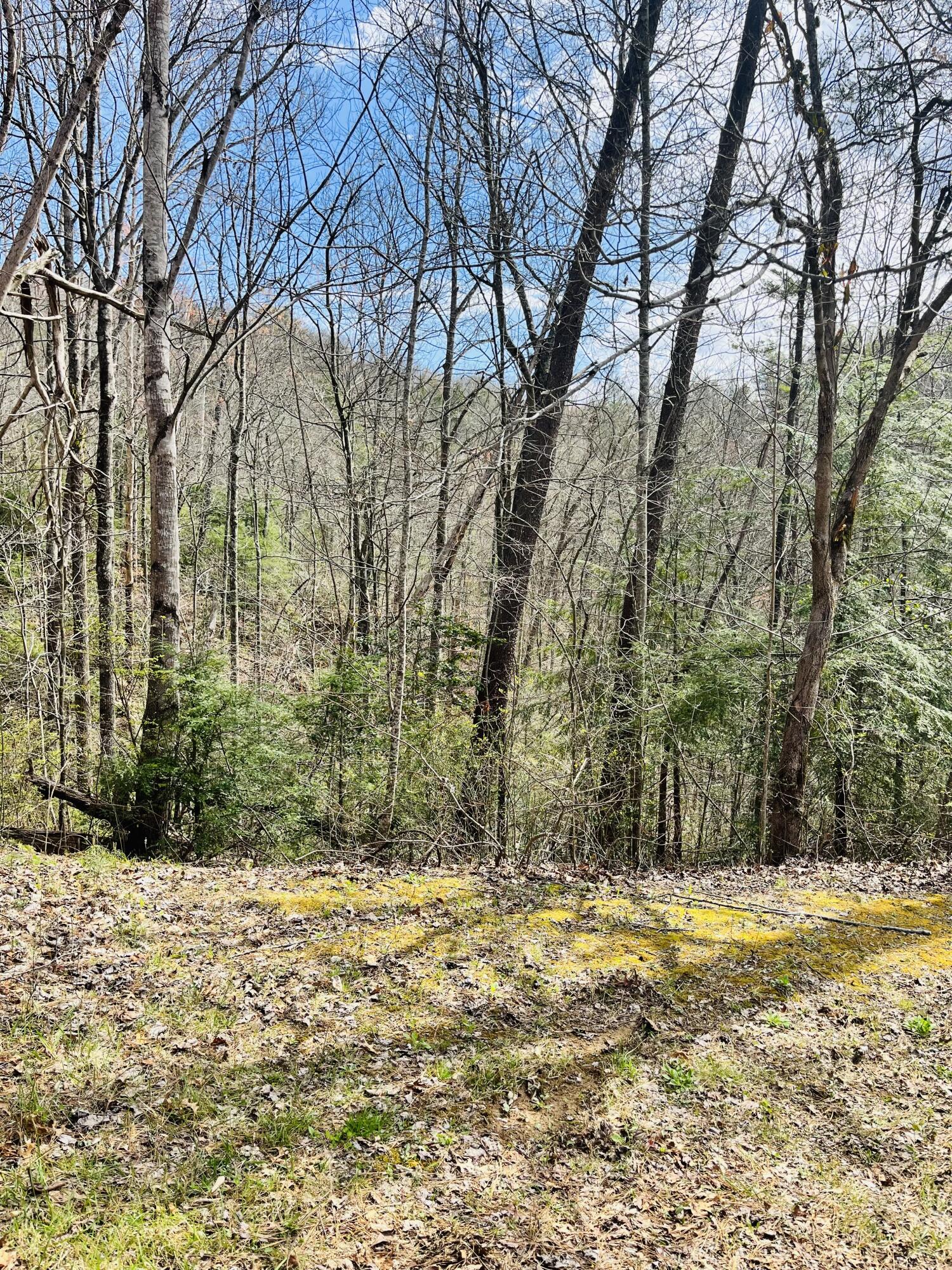 Lot 3 Sassafras Trail Trail