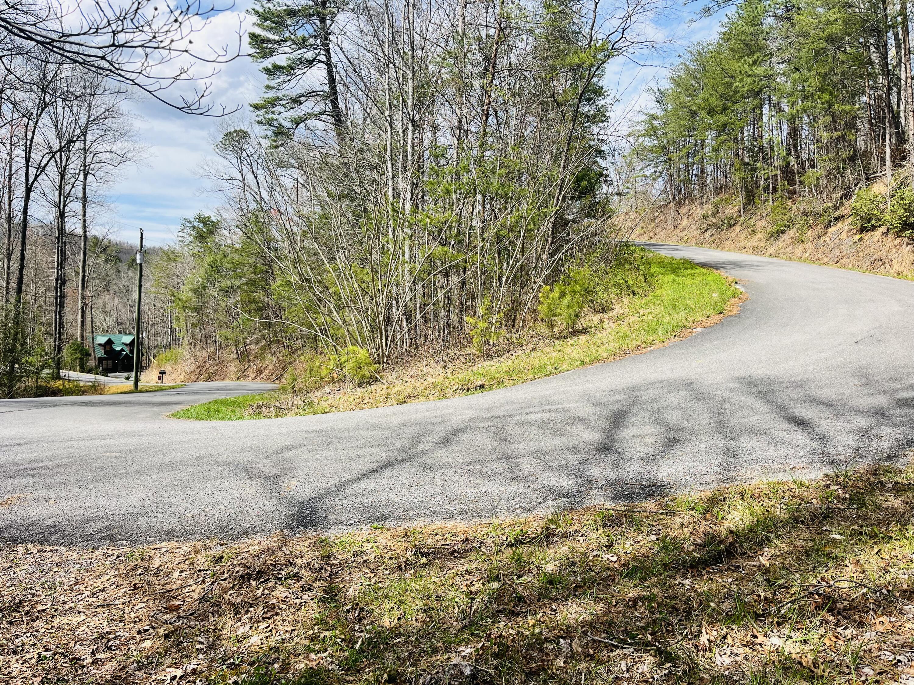 Lot 3 Sassafras Trail Trail