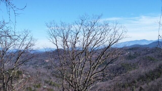 Overholt Trail