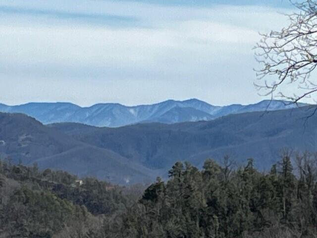 Overholt Trail