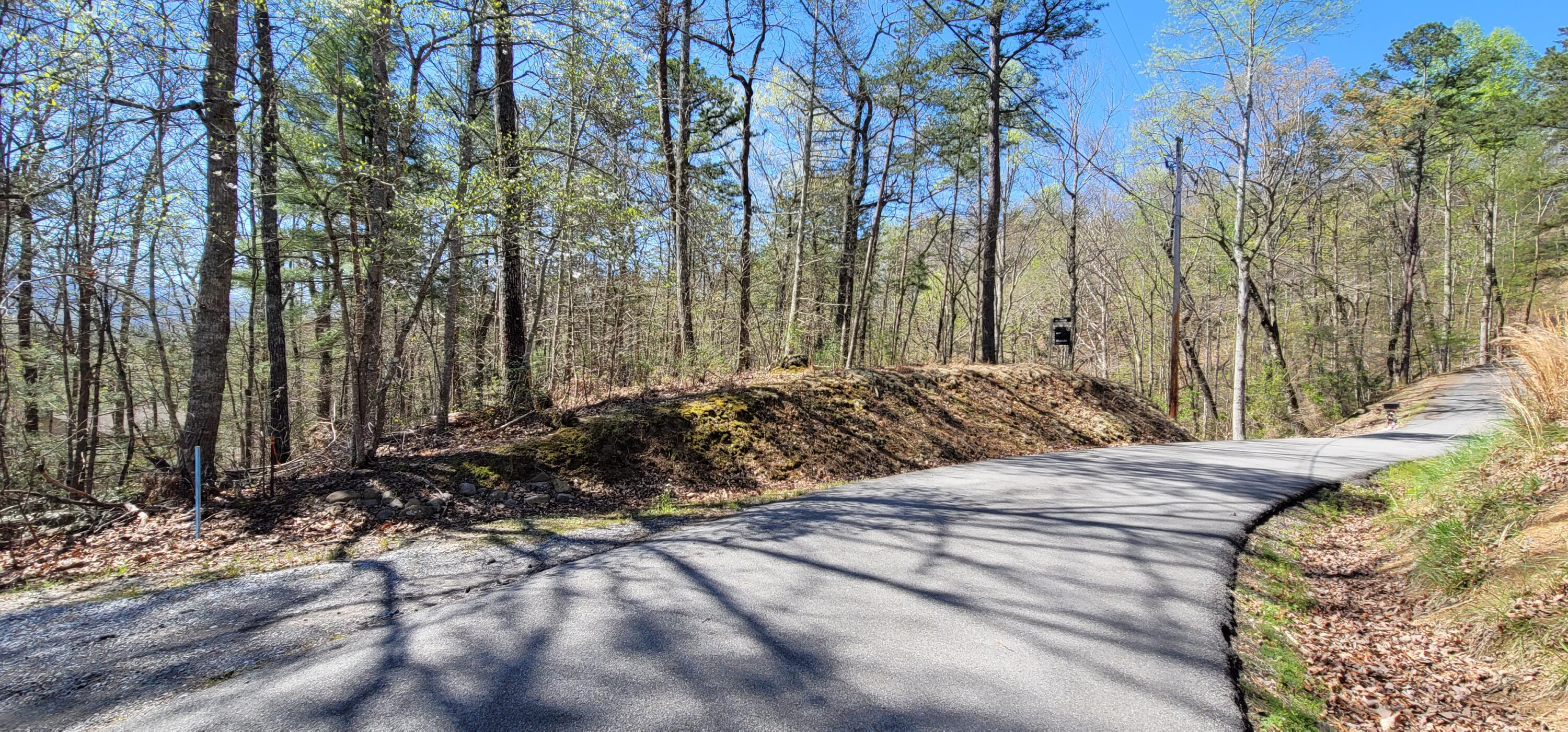 Lot 37A Chinquapin