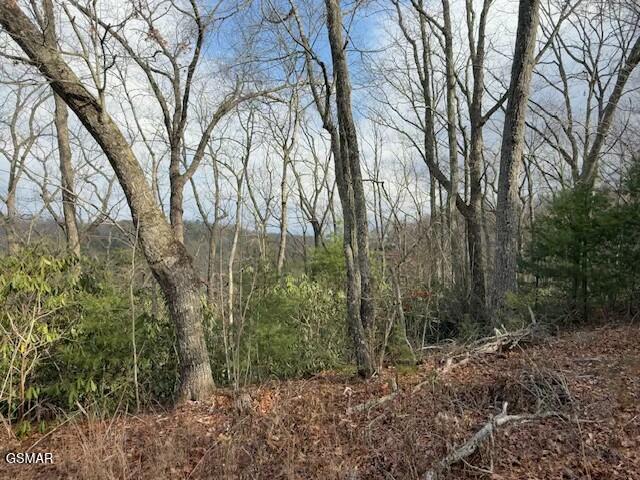 Lot 974 Ridgefield Dr
