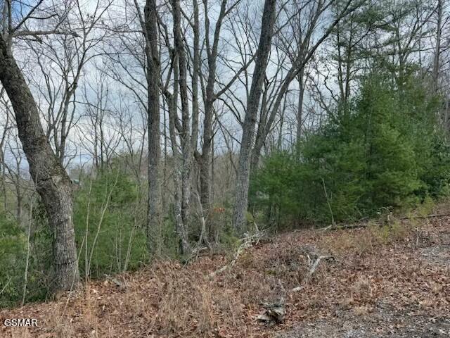 Lot 974 Ridgefield Dr