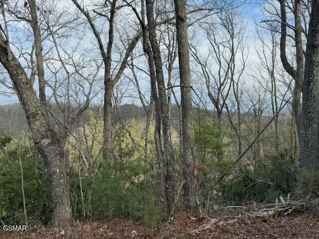 Lot 974 Ridgefield Dr