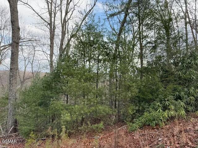 Lot 974 Ridgefield Dr