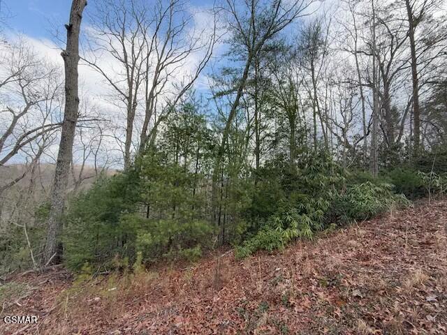 Lot 974 Ridgefield Dr