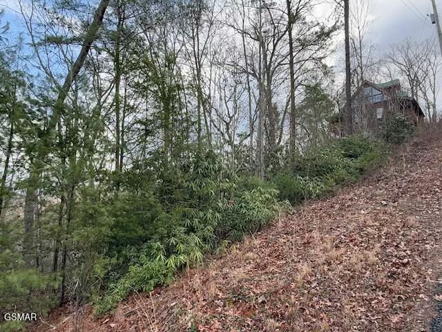 Lot 974 Ridgefield Dr