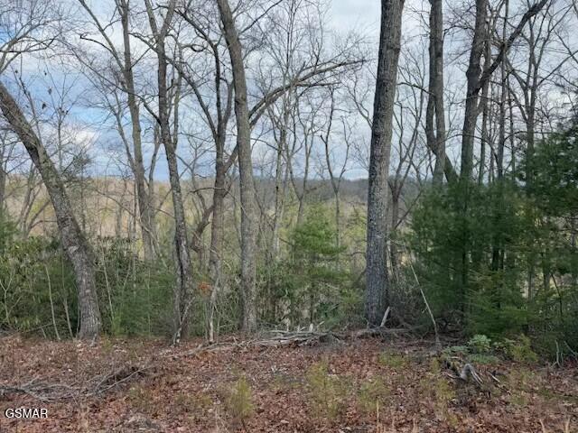 Lot 973 Ridgefield Dr