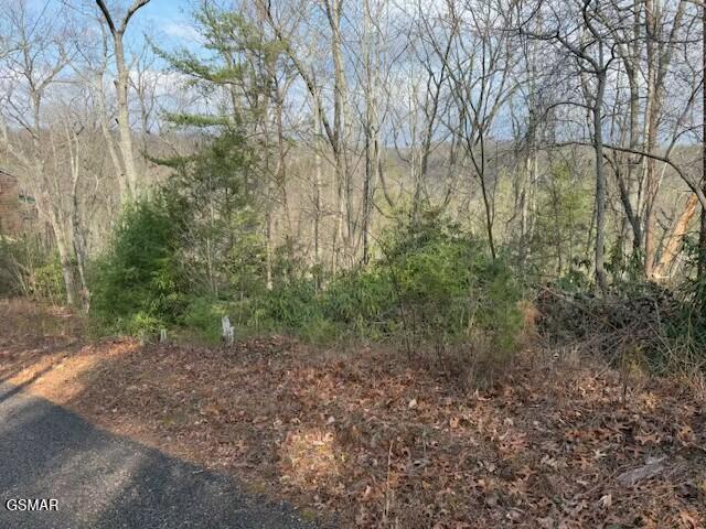 Lot 973 Ridgefield Dr