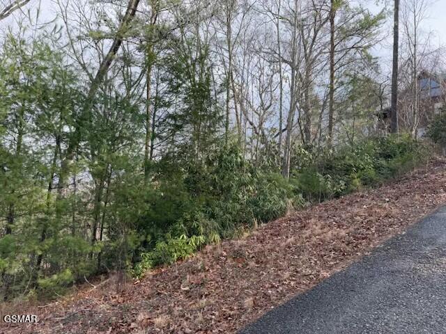 Lot 973 Ridgefield Dr
