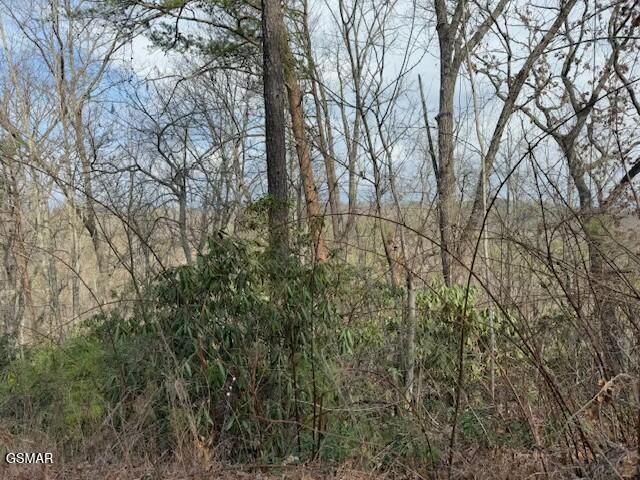 Lot 973 Ridgefield Dr