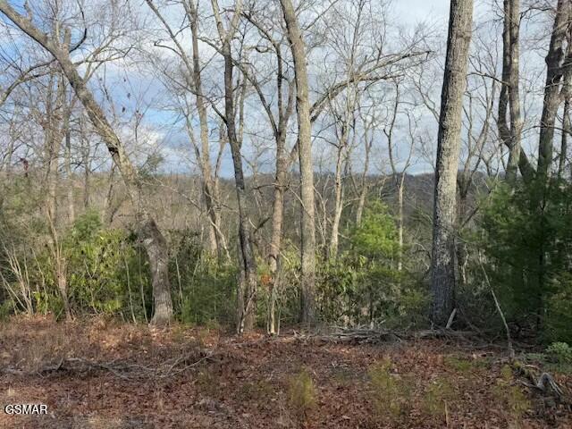 Lot 973 Ridgefield Dr