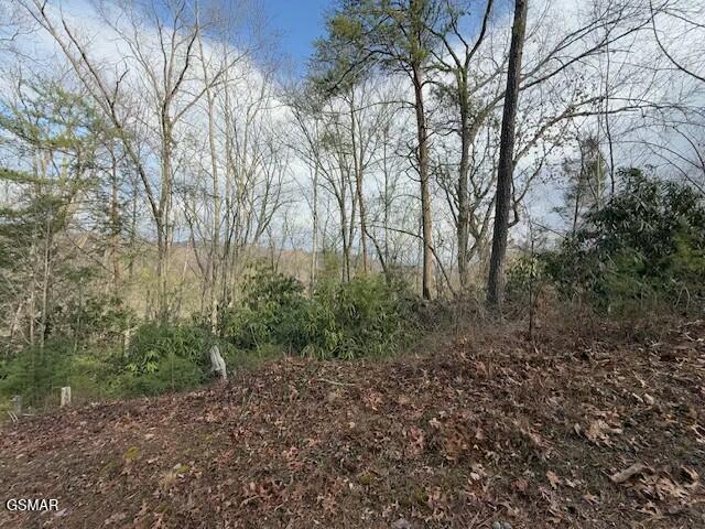 973 & 974 Ridgefield Dr