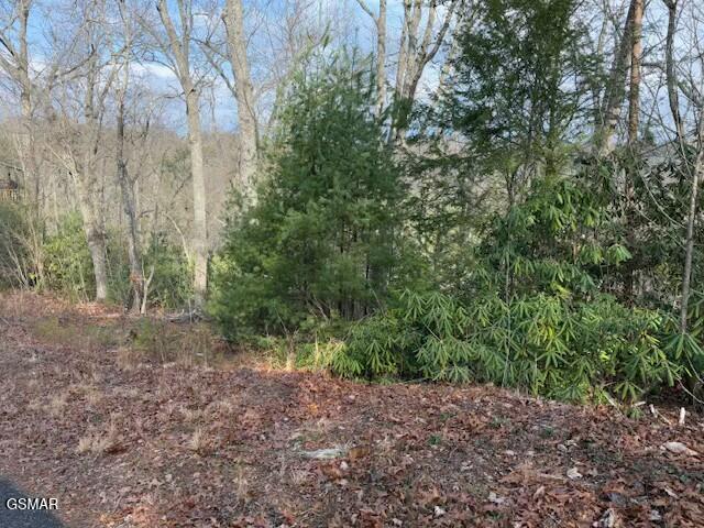 973 & 974 Ridgefield Dr