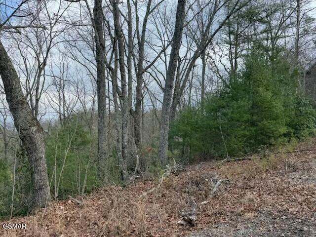 973 & 974 Ridgefield Dr