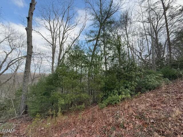 973 & 974 Ridgefield Dr