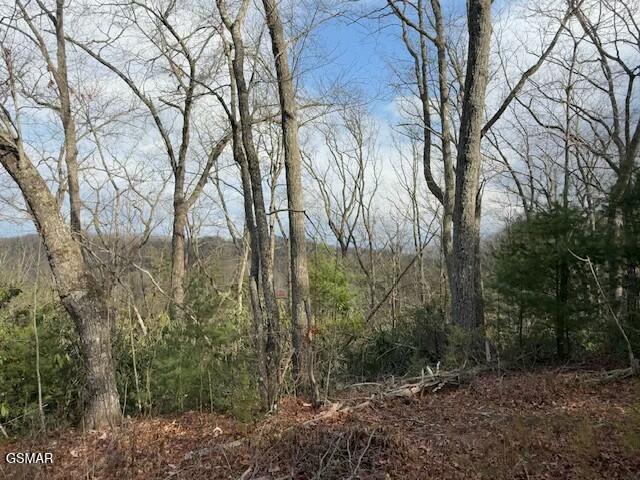 973 & 974 Ridgefield Dr