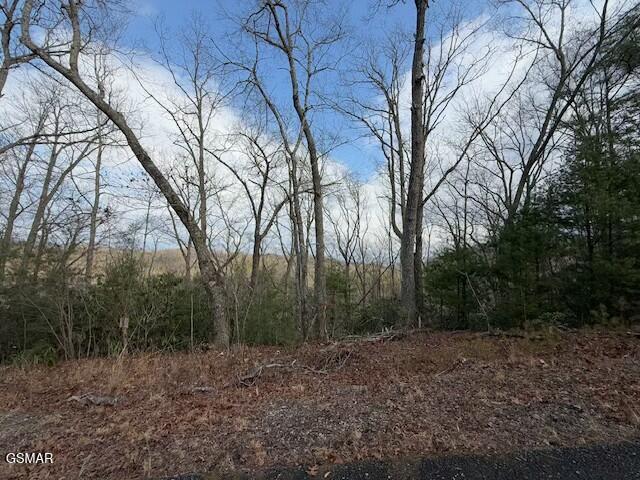 973 & 974 Ridgefield Dr