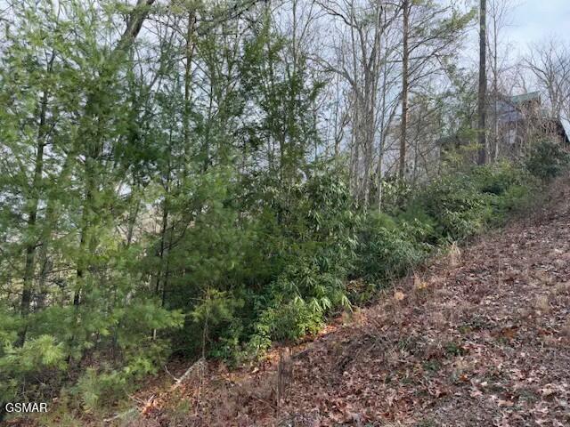 973 & 974 Ridgefield Dr