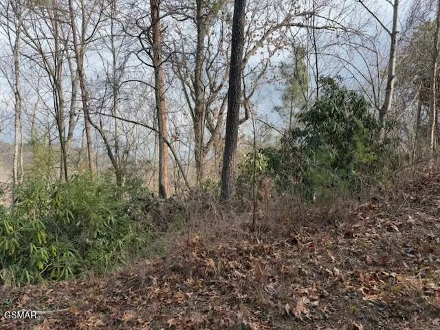 973 & 974 Ridgefield Dr
