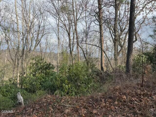 973 & 974 Ridgefield Dr