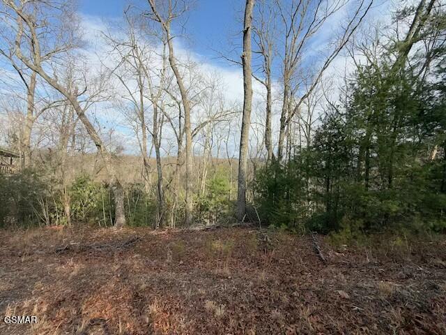 973 & 974 Ridgefield Dr