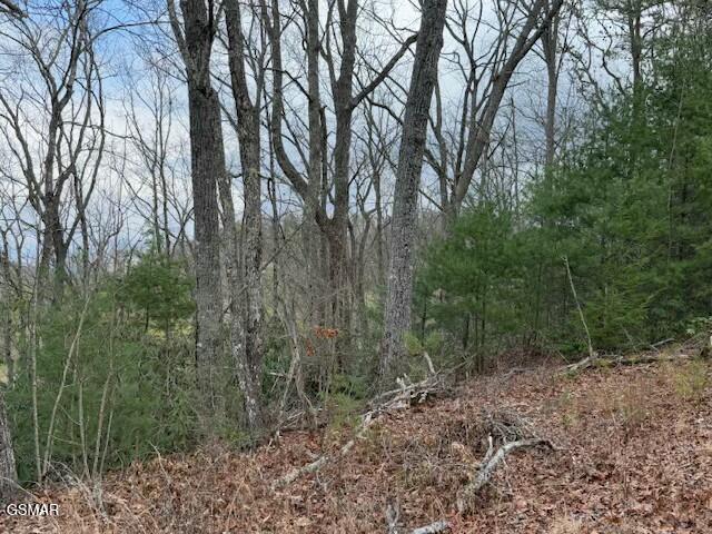 973 & 974 Ridgefield Dr