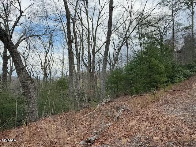 973 & 974 Ridgefield Dr