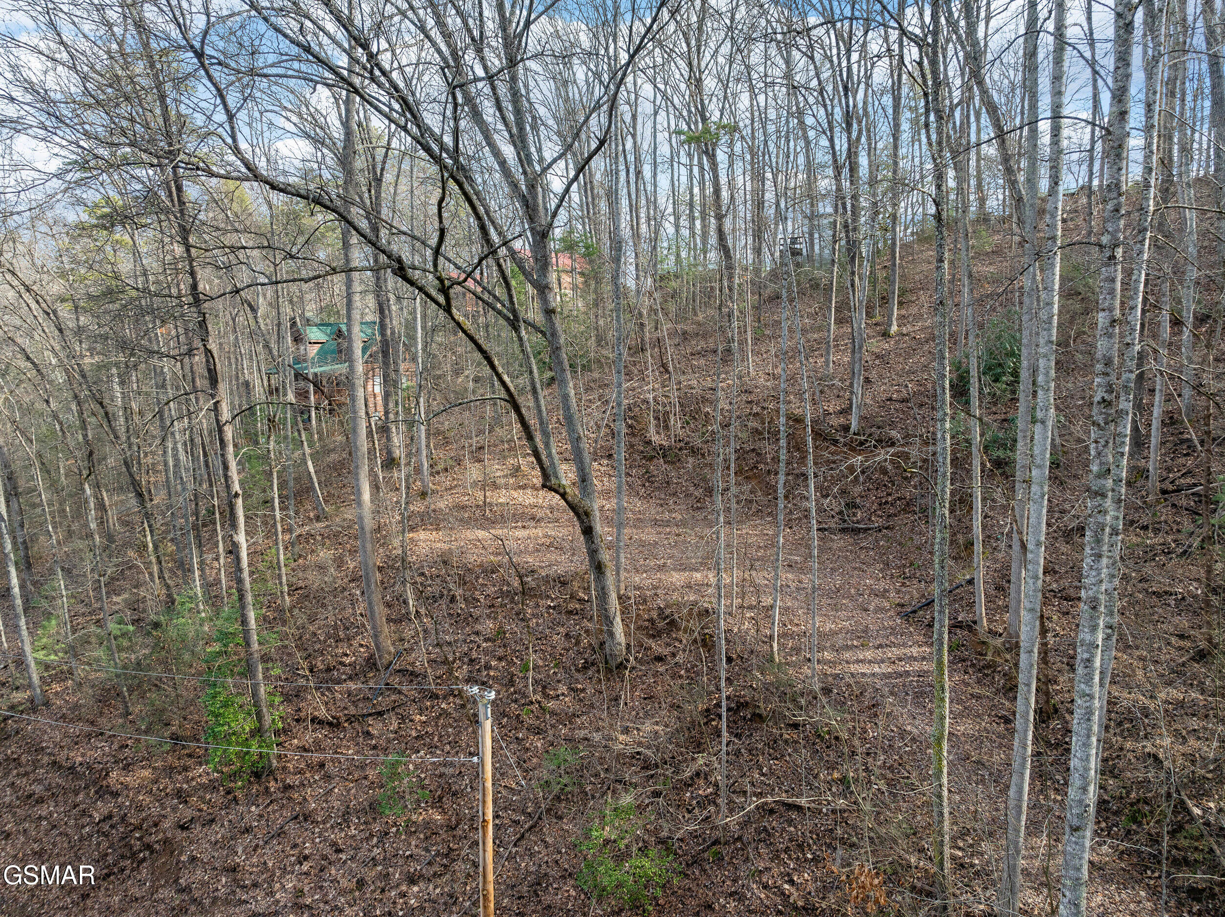 1006 Ridgefield Drive Drive