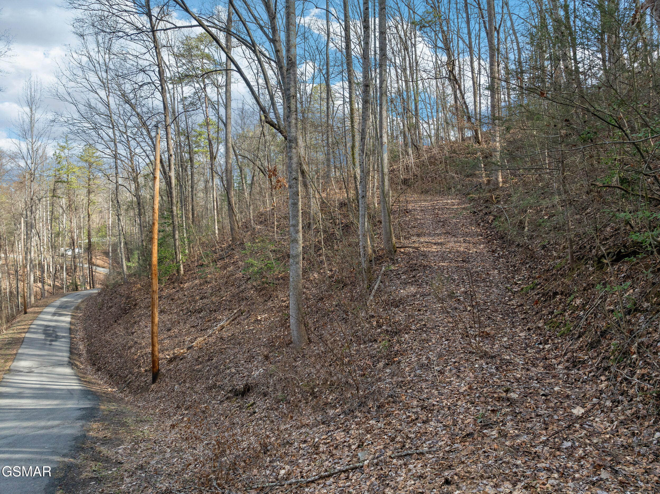 1006 Ridgefield Drive Drive