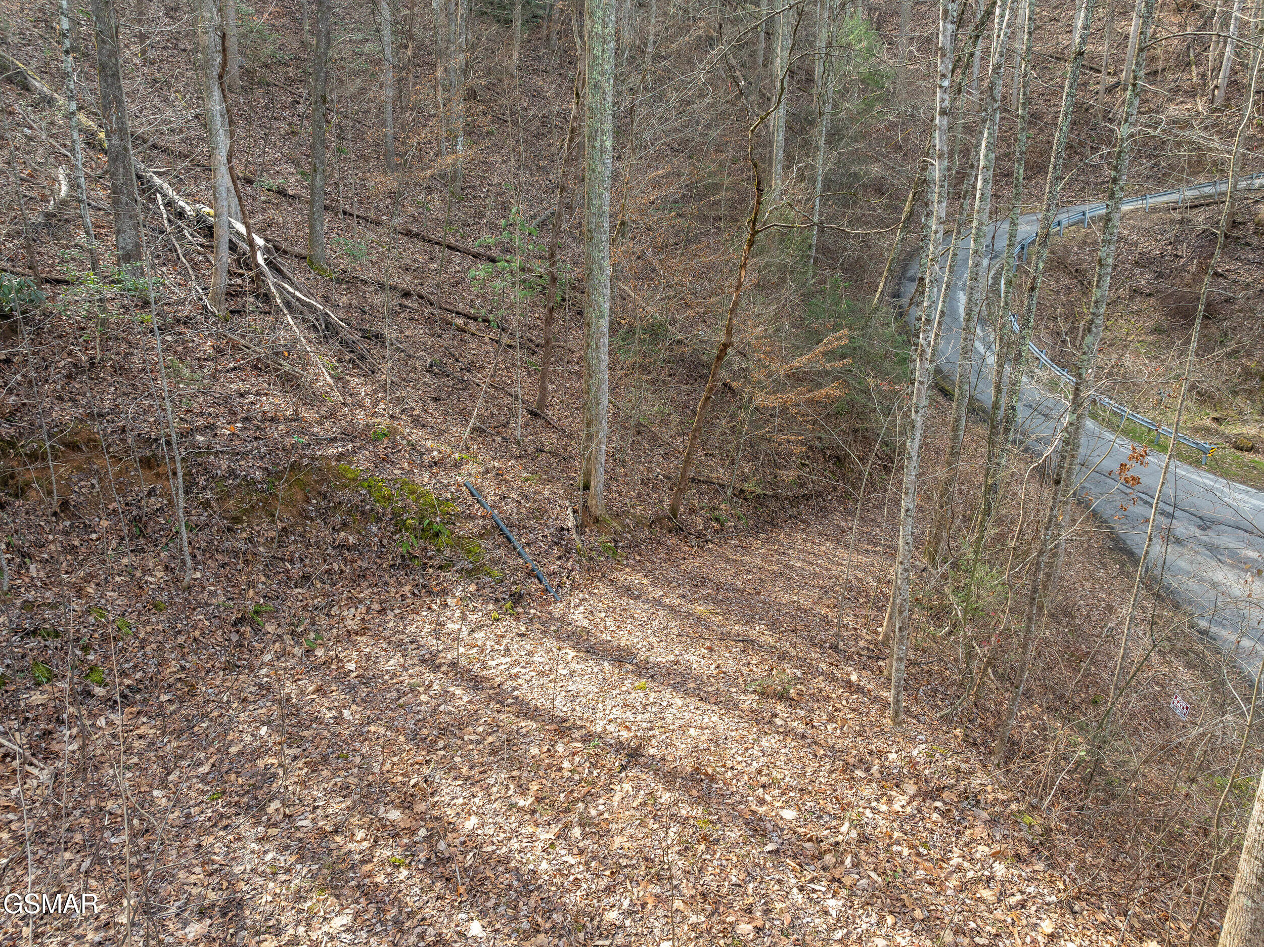 1006 Ridgefield Drive Drive